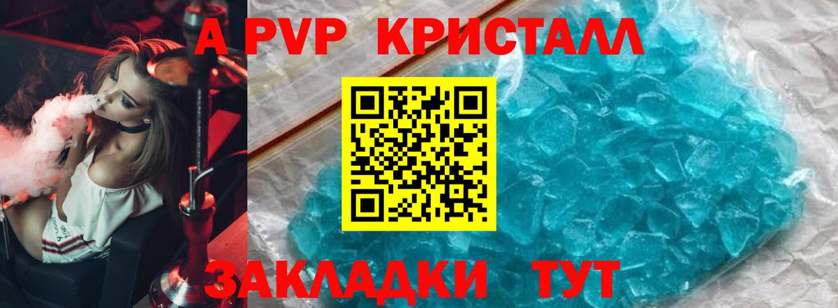 A PVP СК КРИС Калининград