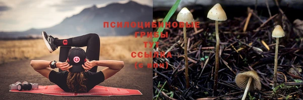 spice Михайловка