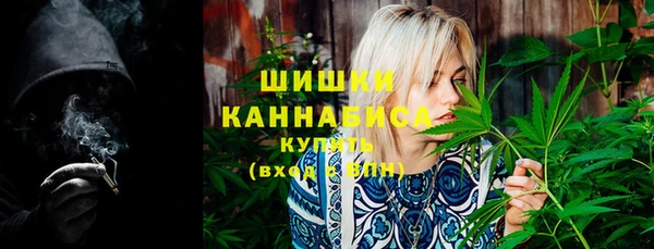 PSILOCYBIN Навашино