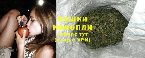 PSILOCYBIN Навашино