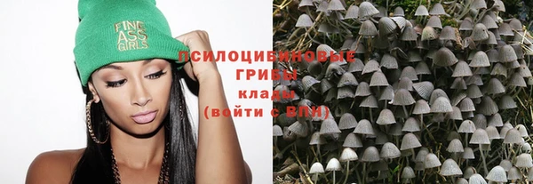 spice Михайловка