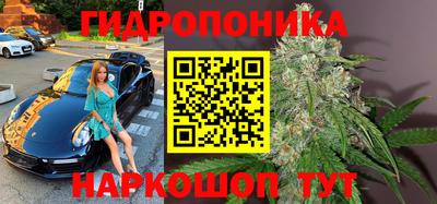 мяу мяу мука Гусев