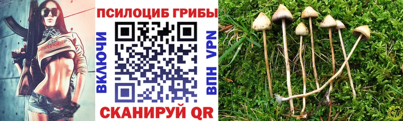 Галлюциногенные грибы мицелий где можно купить Калининград
