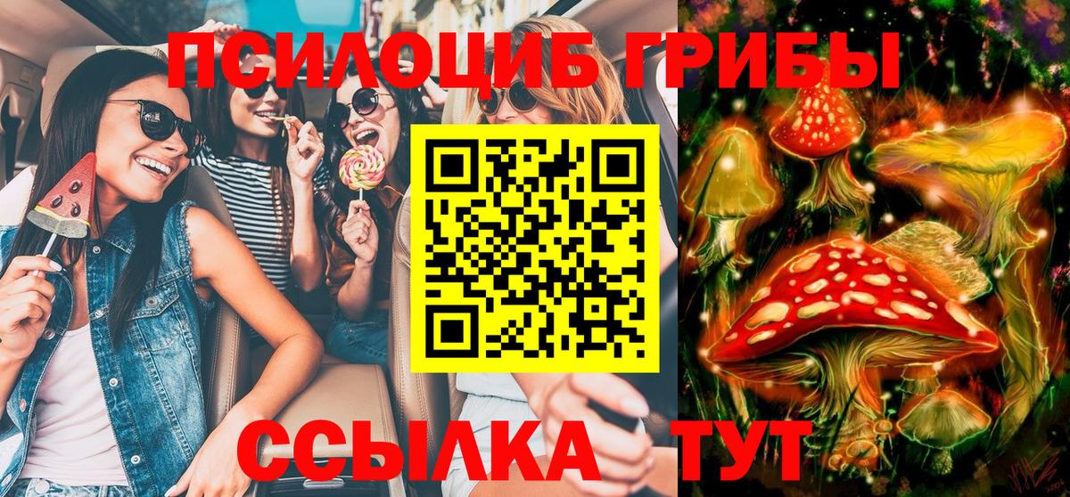 Псилоцибиновые грибы прущие грибы Калининград